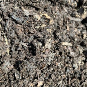 Horse Manure